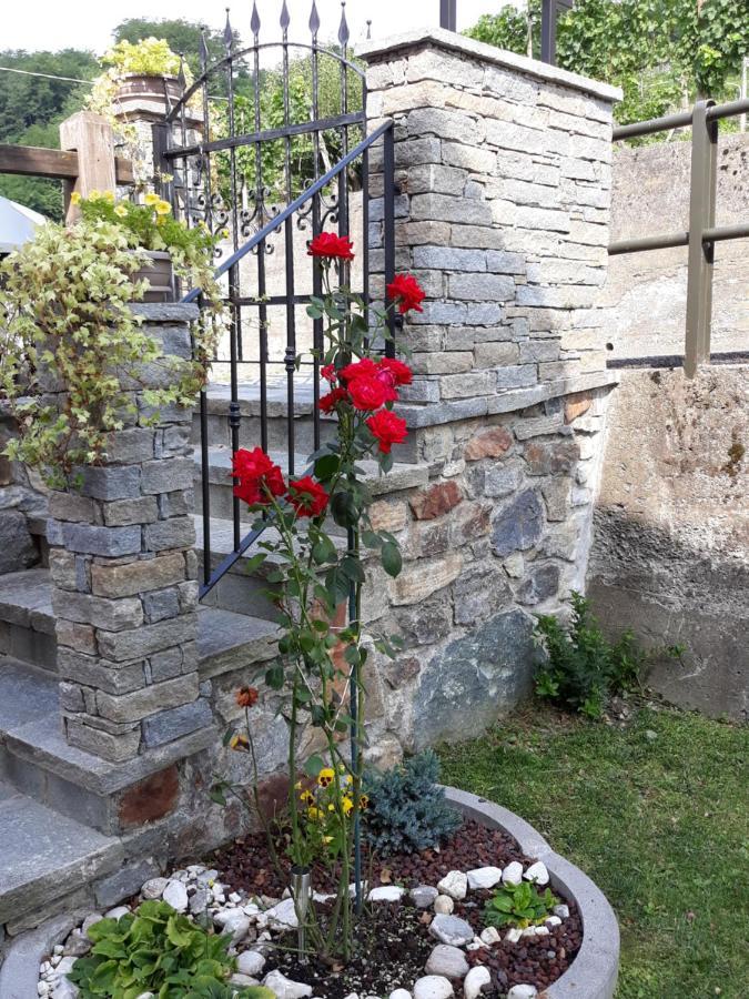 Bed and Breakfast Il Vigneto Castione Andevenno Exterior foto