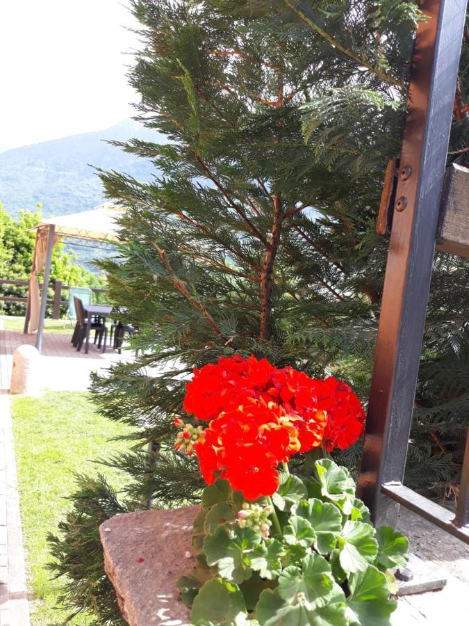 Bed and Breakfast Il Vigneto Castione Andevenno Exterior foto